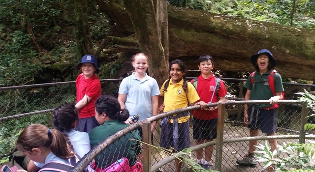Year 3 Excursion to  11