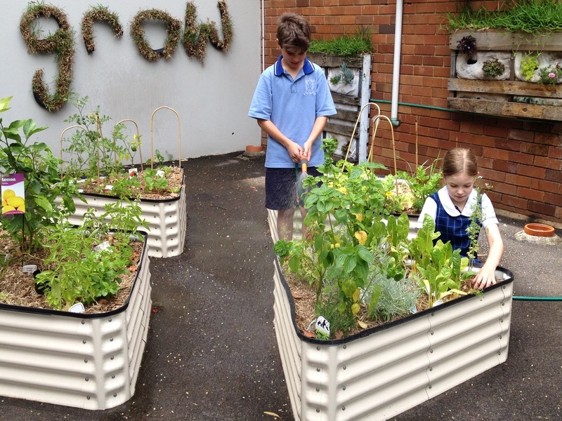 garden15